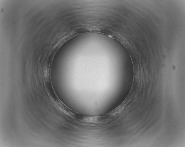 X0000086090084200704202227