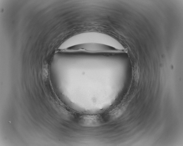 X0000086090085200704202227