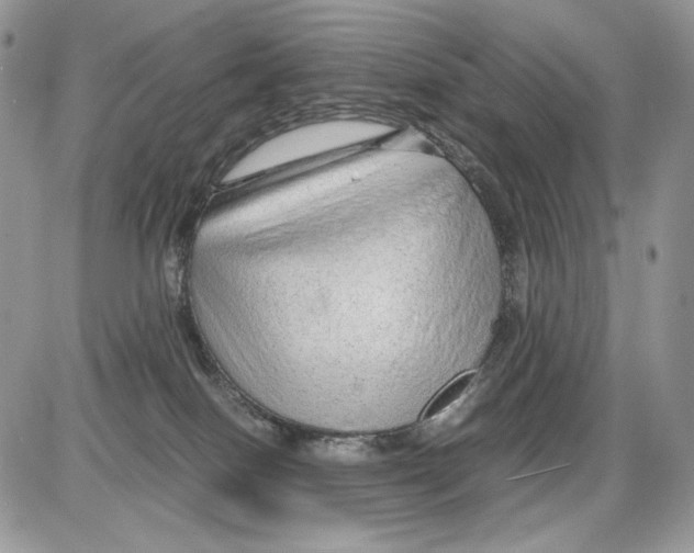 X0000086090086200704202227