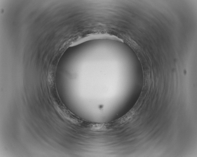 X0000086090088200704202227