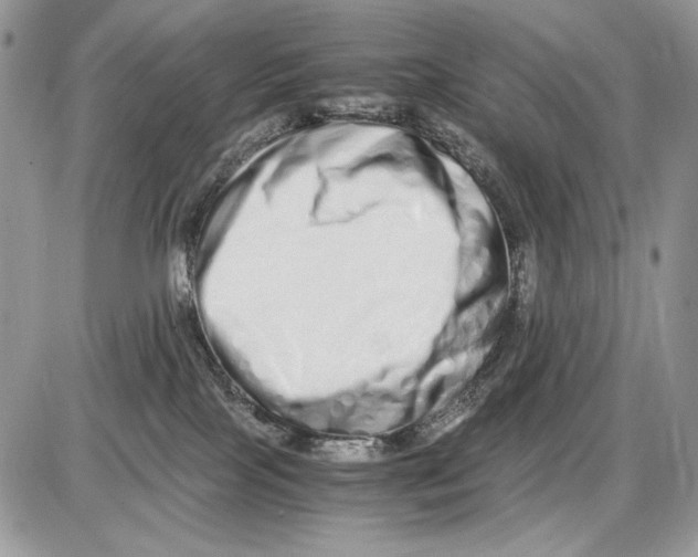 X0000086090089200704202227