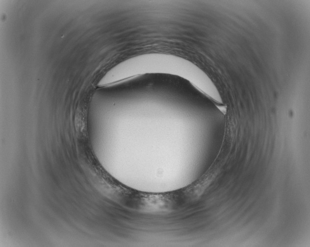 X0000086090091200704202227