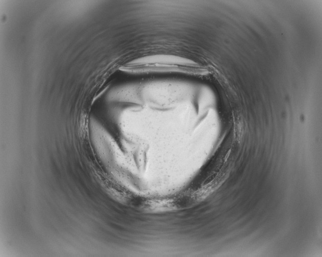 X0000086090093200704202227