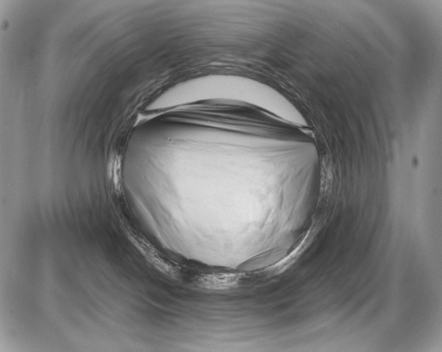 X0000086090094200704202227