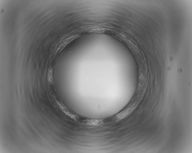 X0000086090096200704202227