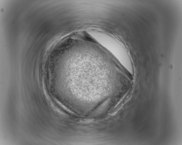 X0000086090097200704202226