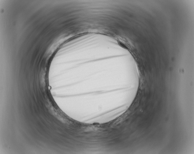 X0000086090098200704202226