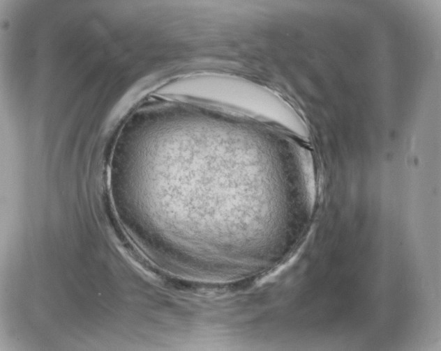 X0000086090101200704202226