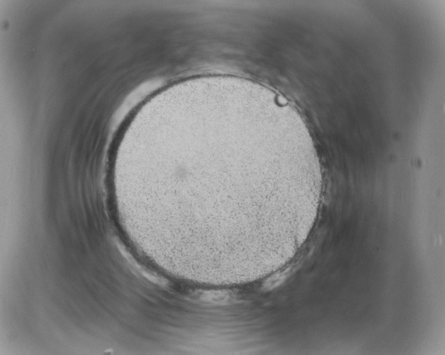 X0000086090104200704202226