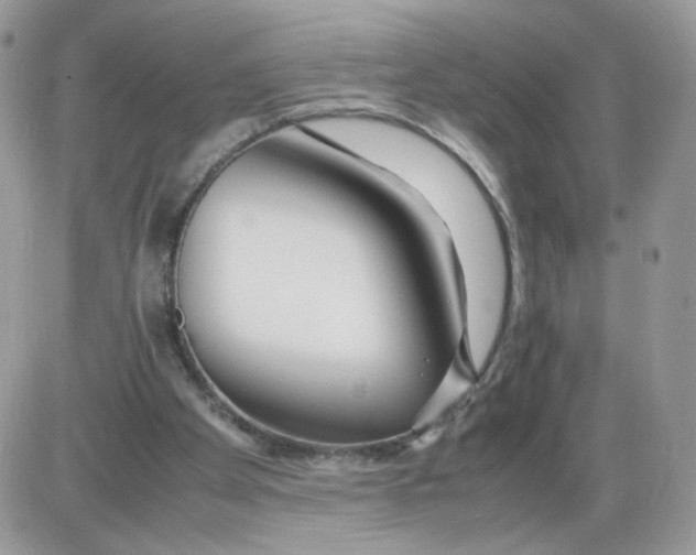 X0000086090105200704202226