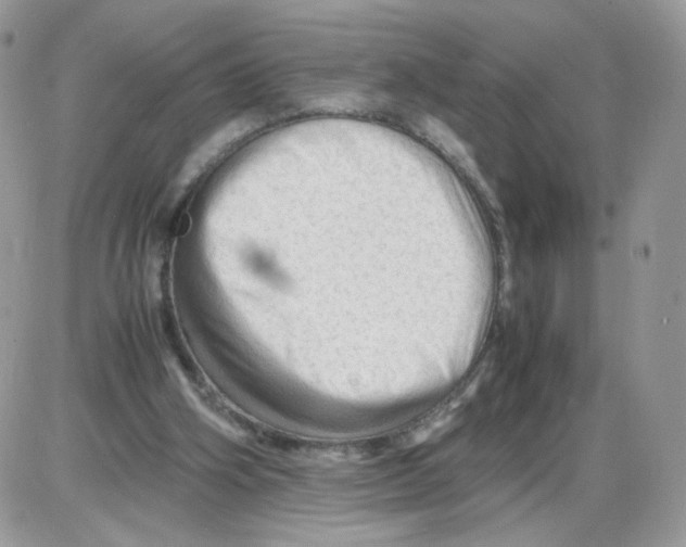 X0000086090106200704202226