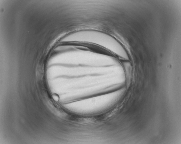 X0000086090107200704202226