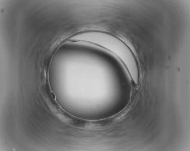 X0000086090109200704202226