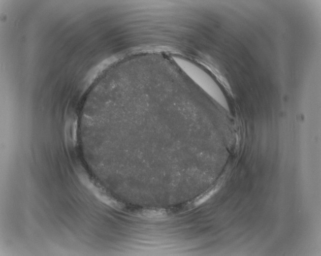 X0000086090110200704202226