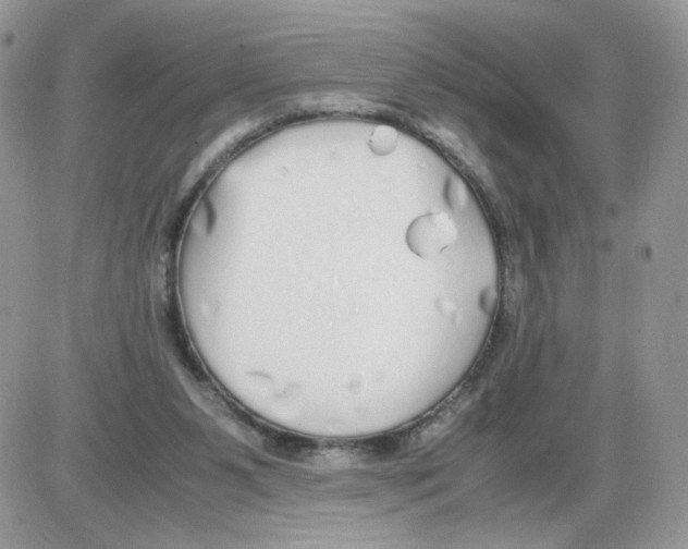 X0000086090111200704202226