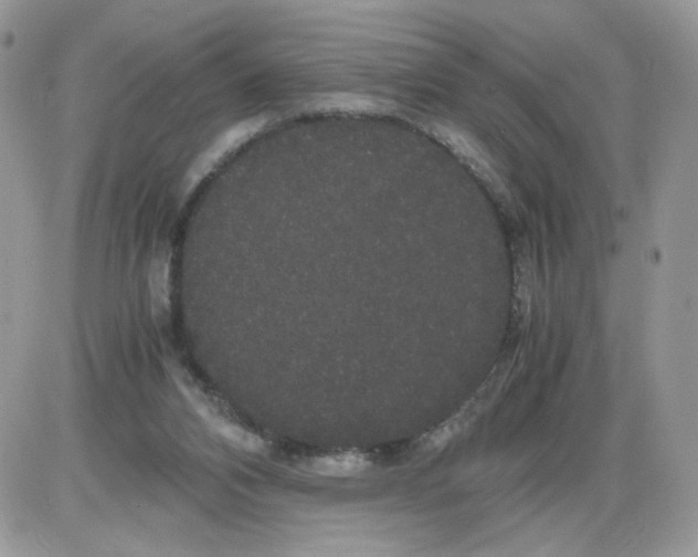 X0000086090112200704202226