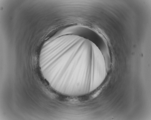 X0000086090113200704202226