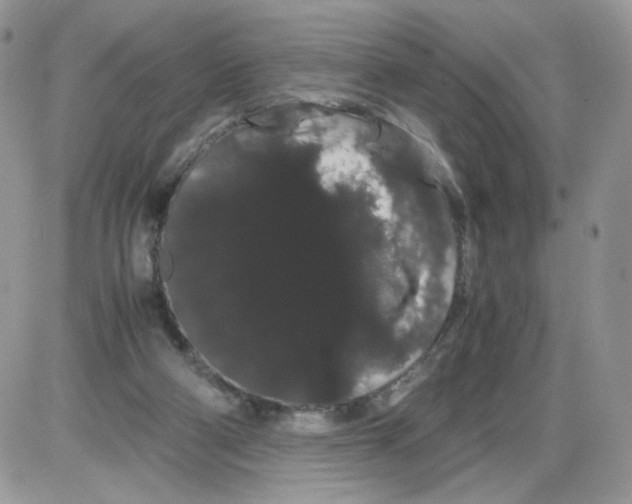 X0000086090114200704202226