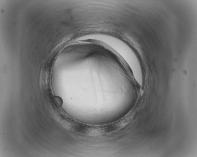 X0000086090115200704202226