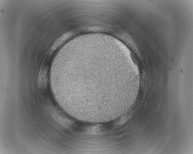 X0000086090116200704202226