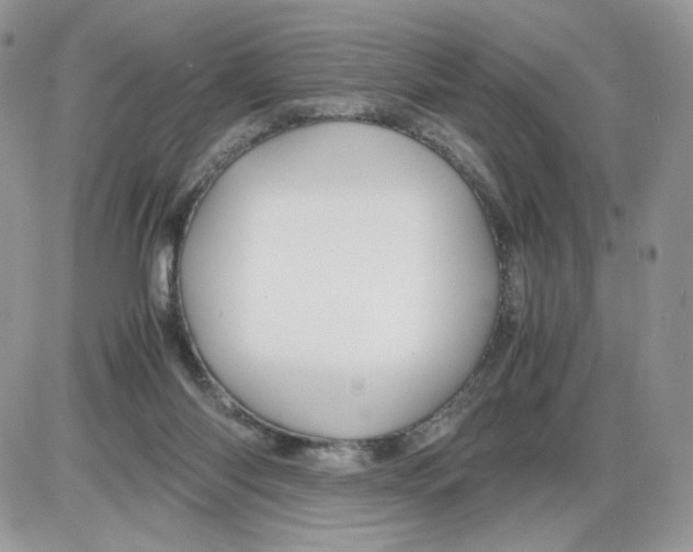 X0000086090118200704202226