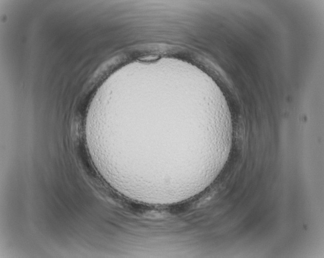 X0000086090119200704202226