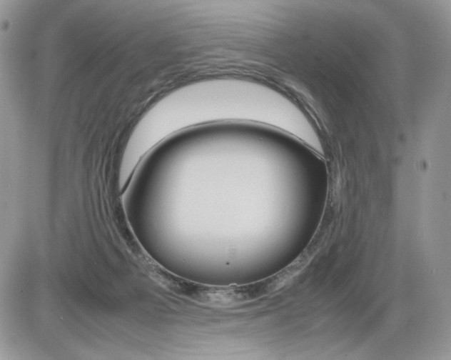 X0000086090121200704202226