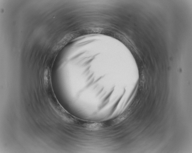 X0000086090122200704202226