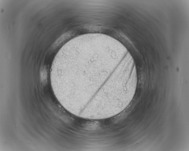 X0000086090124200704202226