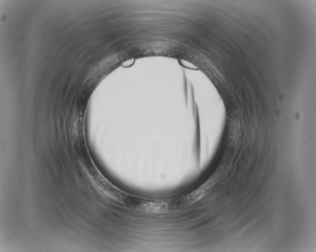 X0000086090126200704202226