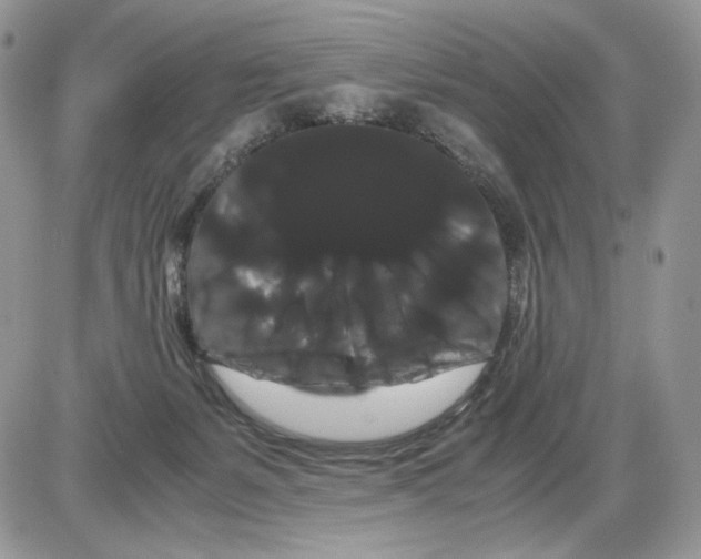 X0000086090127200704202225