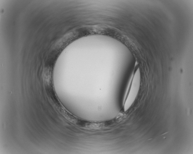 X0000086090129200704202225