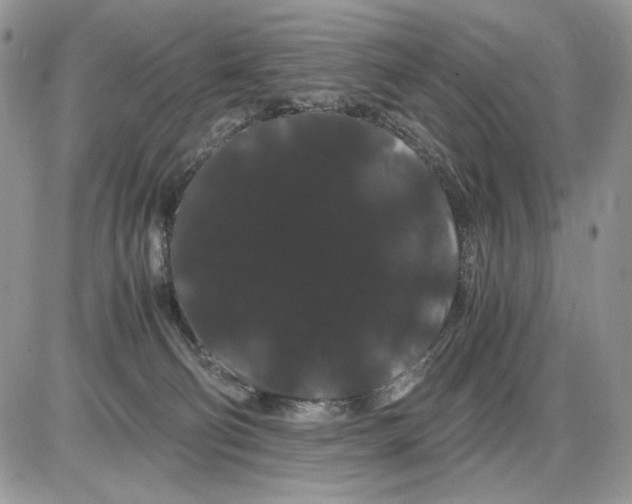 X0000086090130200704202225