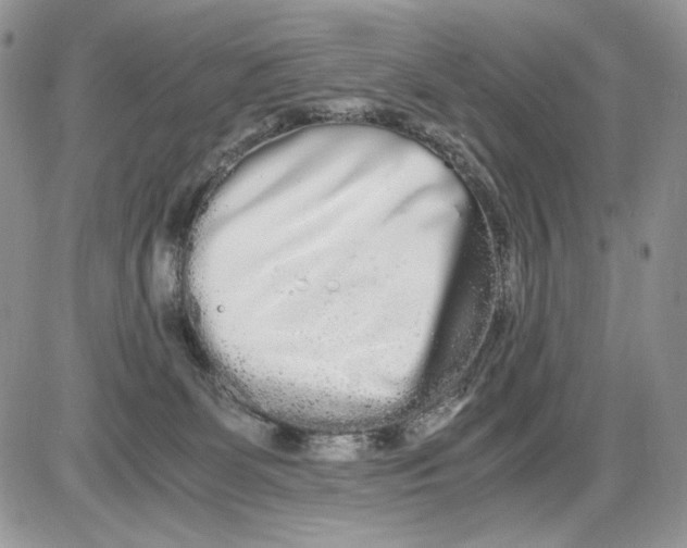 X0000086090131200704202225