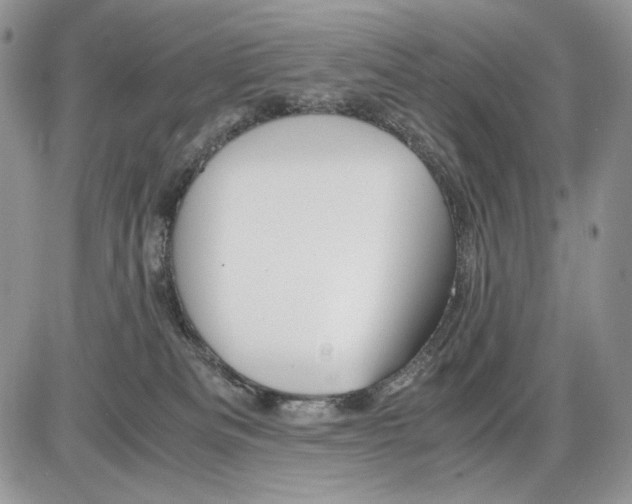 X0000086090133200704202225