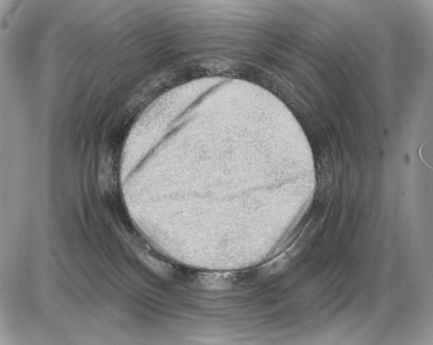 X0000086090136200704202225