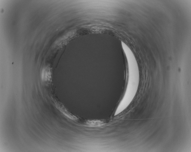 X0000086090137200704202225