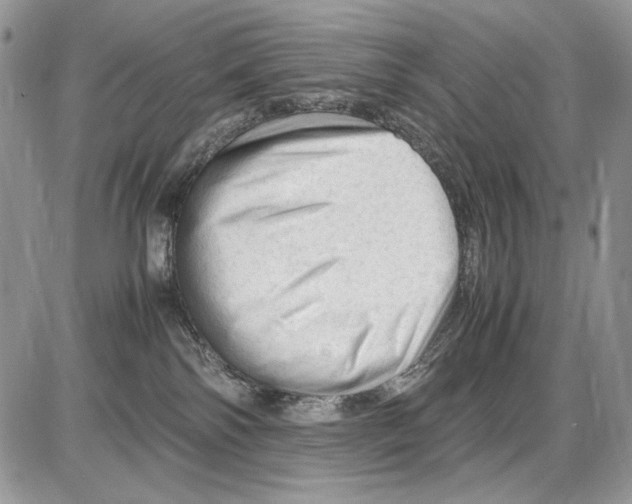 X0000086090138200704202225