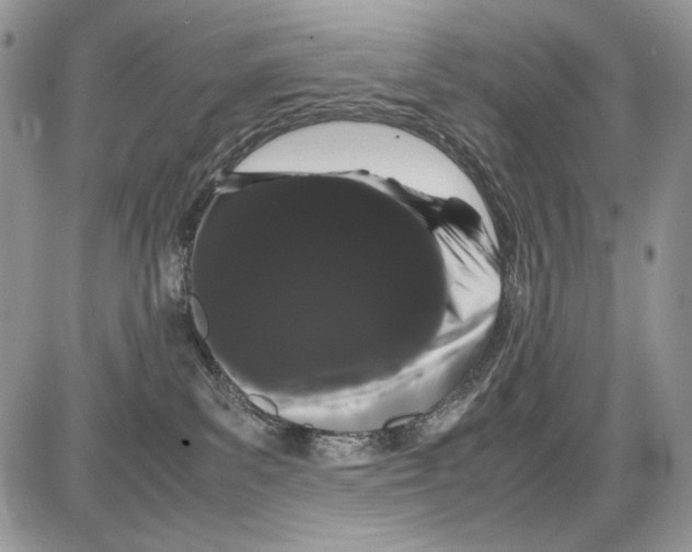 X0000086090139200704202225