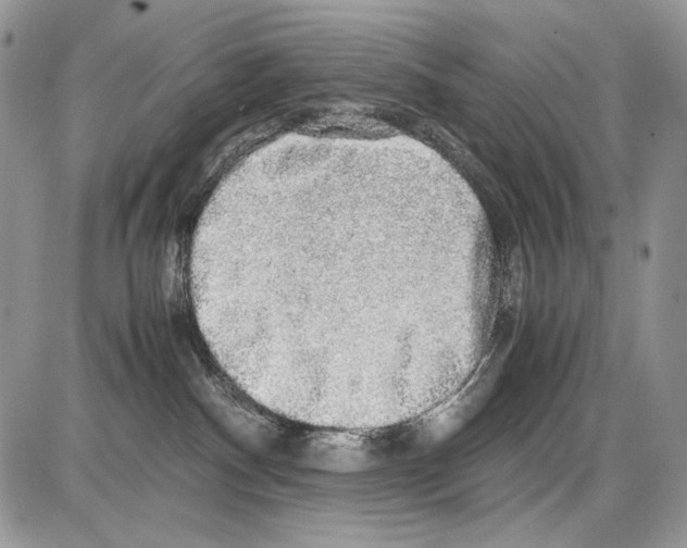 X0000086090140200704202225