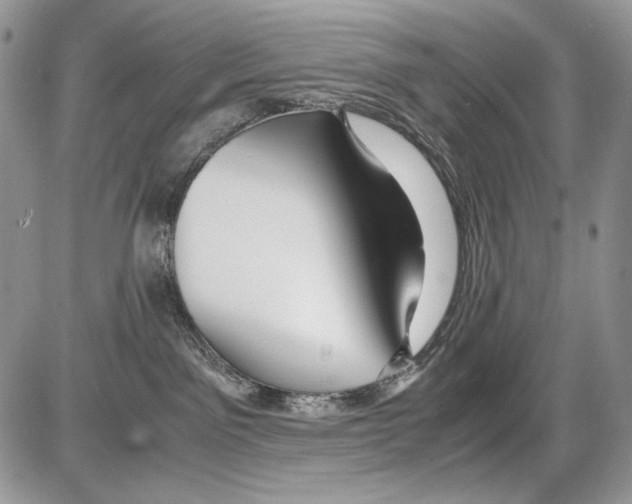 X0000086090141200704202225