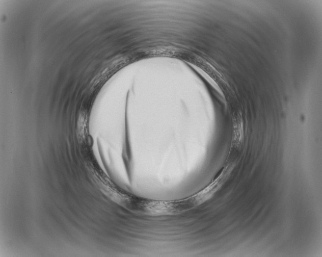 X0000086090142200704202225