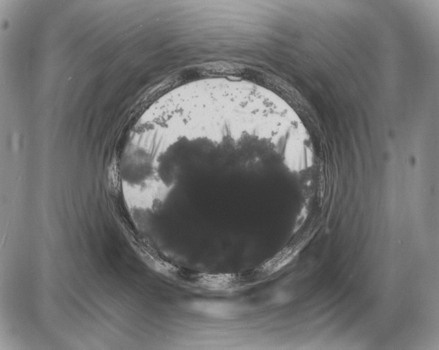 X0000086090143200704202225