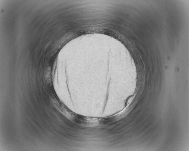 X0000086090144200704202225