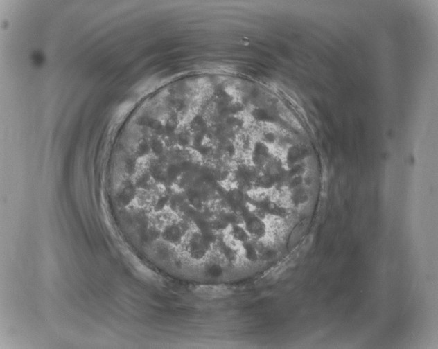 X0000086090145200704202224