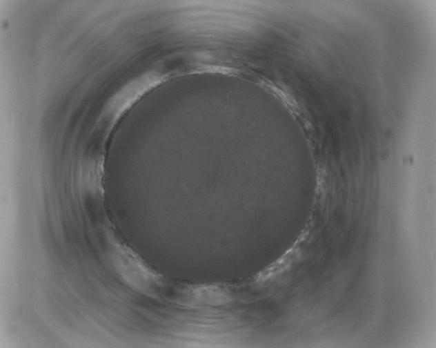 X0000086090146200704202224