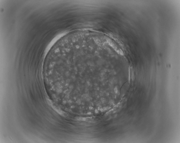 X0000086090147200704202224