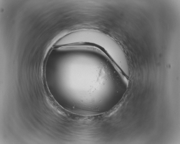 X0000086090148200704202224