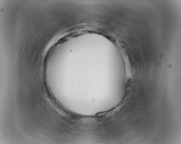 X0000086090150200704202225