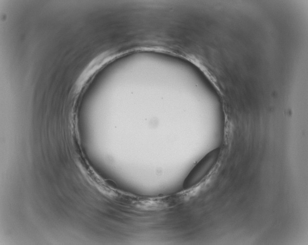 X0000086090151200704202225